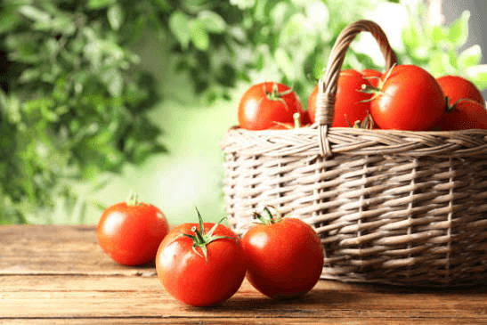 Packaged goods loaded for delivery and export